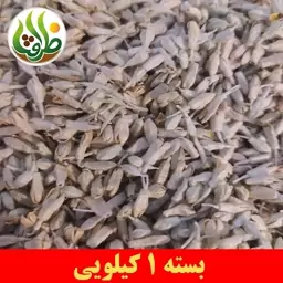 شکوفه سنجد ( گل ) اعلا ظرافت 1 کیلویی