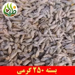 شکوفه سنجد اعلا ظرافت 250 گرمی