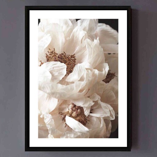 تابلو آتا مدل white peony کد 248901386