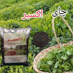 چای سیاه قلم درشت اکسیر 1403 لاهیجان