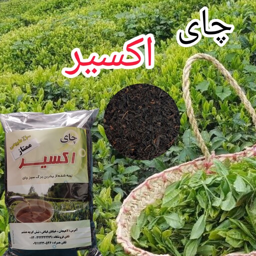 چای سیاه ممتاز اکسیر 1403 لاهیجان