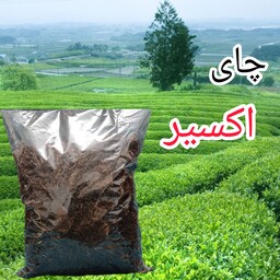 چای ساقه اکسیر 1403 لاهیجان