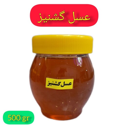 عسل طبیعی گشنیز(نیم کیلویی)