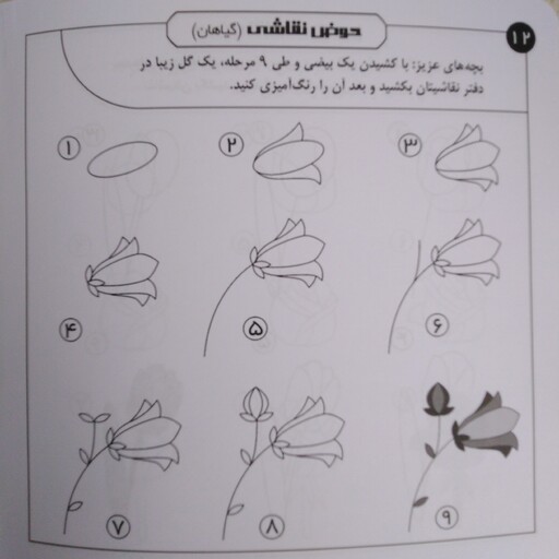 کتاب آموزش مرحله به مرحله حوض نقاشی گیاهان