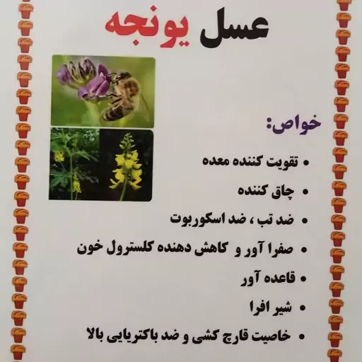 عسل یونجه 1کیلویی