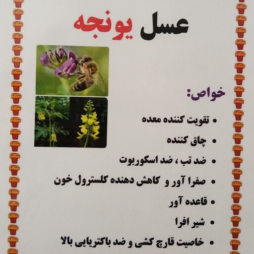 عسل یونجه 500گرمی