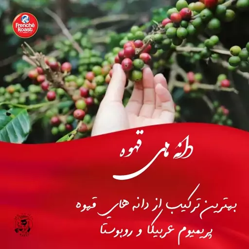 کافی میکس فرنچ رست فندقی frenche roast(اصل)