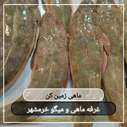 ماهی  زمین کن سایز متوسط تازه و صید روز (پک یک کیلویی)بسیار خوشمزه و لذیذ مناسب برای سرخ کردن