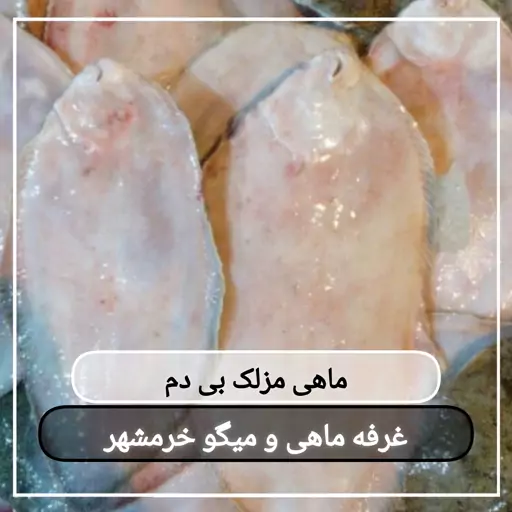 ماهی مزلک بی دم سایز متوسط تازه و صید روز (پک یک کیلویی)بسیار خوشمزه و لذیذ مناسب برای سرخ کردن