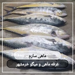 ماهی سارم سایز متوسط تازه و صید روز (پک یک کیلویی)بسیار خوشمزه و لذیذ مناسب برای کباب کردن و سرخ کردن و خورشت