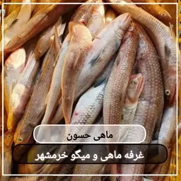 ماهی حسون تازه صید روز (پک یک کیلویی)بسیار خوشمزه مناسب برای کباب کردن و سرخ کردن