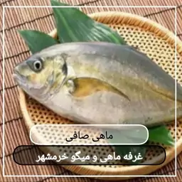 ماهی صافی سایز متوسط تازه و صید روز (پک یک کیلویی)بسیار خوشمزه و لذیذ مناسب برای سرخ کردن