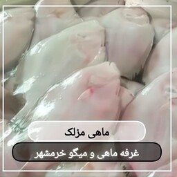 ماهی مزلک سایز متوسط تازه و صید روز (پک یک کیلویی)بسیار خوشمزه و لذیذ مناسب برای سرخ کردن