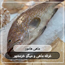 ماهی هامور(پک یک کیلویی)مناسب برای سرخ کردن و استفاده در خورشت