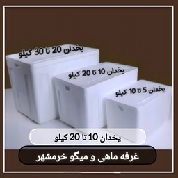 یخدان جهت نگهداری و ارسال ماهی(10 تا 20 کیلو)