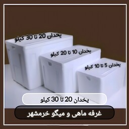 یخدان جهت نگهداری و ارسال ماهی(20 تا 30 کیلو)