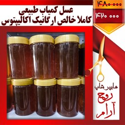 عسل اکالیپتوس کمیاب کاملا طبیعی خالص و ارگانیک