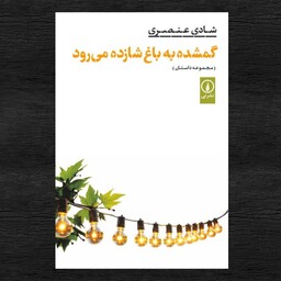 کتاب گمشده به باغ شازده می رود اثر شادی عنصری نشر نی 