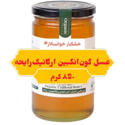 عسل گون انگبین ارگانیک رایحه خوانسار (850 گرمی ) خشکبار خوانسالار