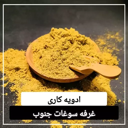 ادویه کاری اعلا (100 گرمی)