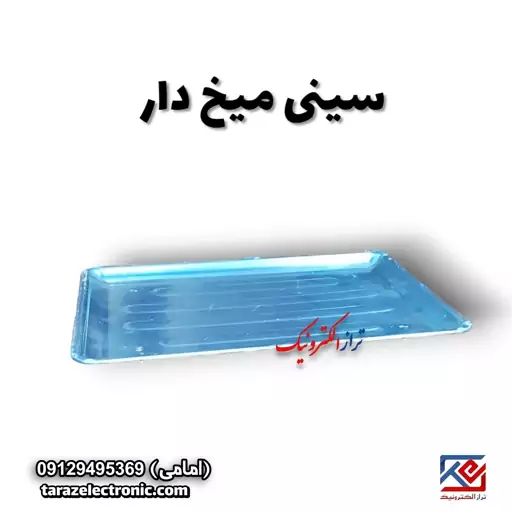 سینی میخ دار