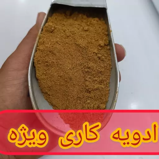 ادویه کاری ویژه 