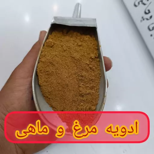 ادویه کاری ویژه 