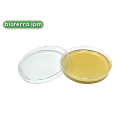 پلیت محیط کشت (PDA(potato dextrose agar