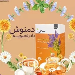 دمنوش  کیسه ای بادرنجبویه 