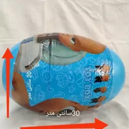 تخم مرغ شانسی