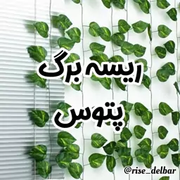 ریسه برگ مصنوعی مدل پتوس درشت 