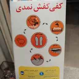 کفی نمدی کفش