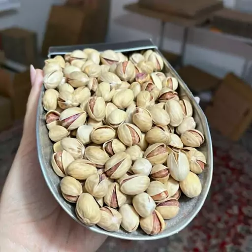 پسته فندقی  شور ( 1000 گرمی)