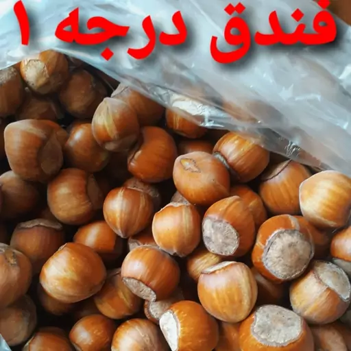 فندق درجه 1 اشکور یک کیلویی