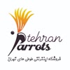 tehran_parrots