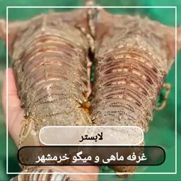 لابستر یا شاه میگو (پک یک کیلویی) بسیار لذیذ و خوشمزه