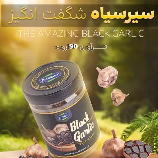 سیر سیاه شگفت انگیز زوبر