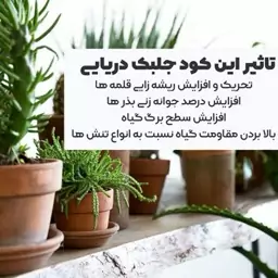 کود جلبک دریایی