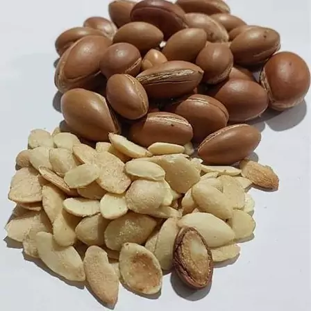 روغن آرگان طلایی بدون اسانس آرایشی 