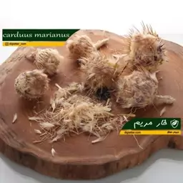 خارمریم 50 گرمی