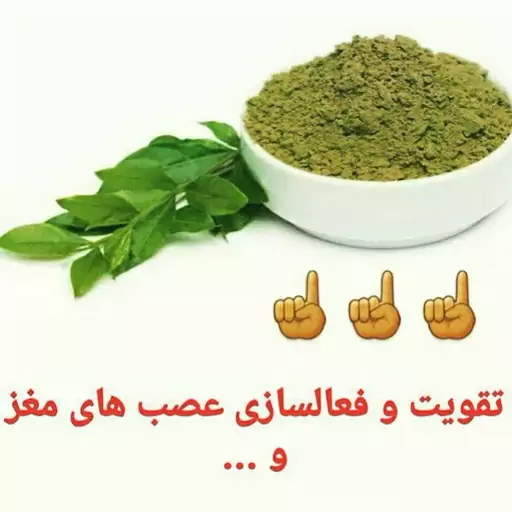 گیاهان سید باقر حکیم  ( استاد عابد ) انفیه