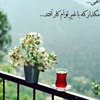 غرفه سیدابوالفضل وسیدامیرحافظ