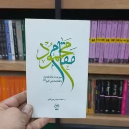 مقام محمود اثر استاد میرباقری