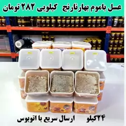 عسل شکوفه بهارنارنج باموم عمده ( 24 کیلو  در ظرف های یک کیلویی)ارسال با اتوبوس