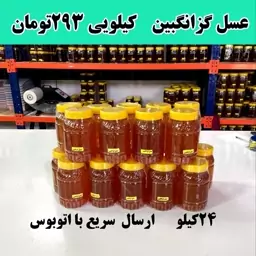 خرید عسل طبیعی گزانگبین عمده( 24 کیلو در ظرف های یک کیلویی ) ارسال با اتوبوس 