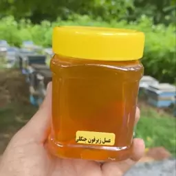 عسل طبیعی زیرفون جنگلی (نیم کیلویی)