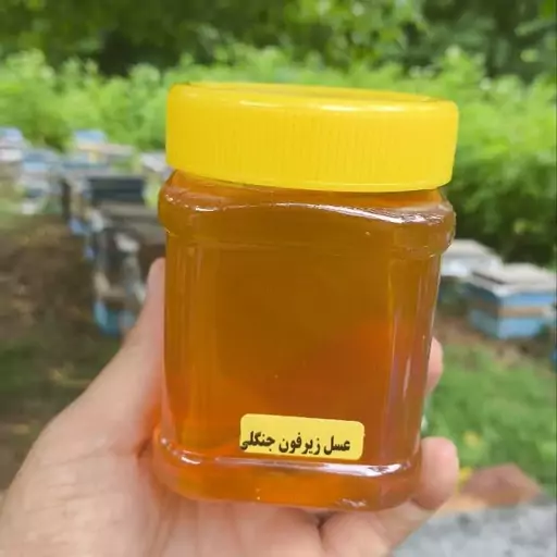 عسل طبیعی زیرفون جنگلی (نیم کیلویی)