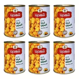 کنسرو ذرت شیرین شهدین - 370 گرم بسته 6 عددی