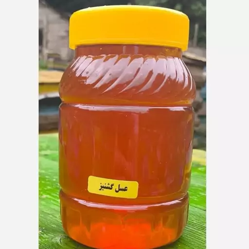 عسل گشنیز ارگانیک و اصل