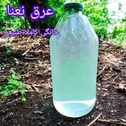 عرق نعنا (کاملآ طبیعی خانگی) 2 لیتری 